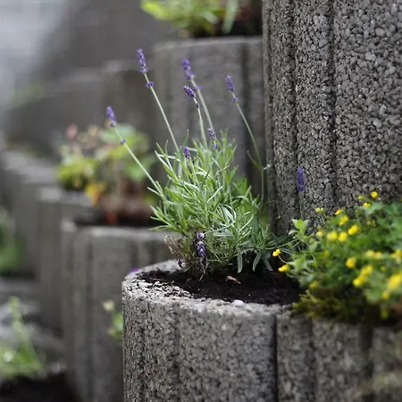 Biela Púť - Jasná Deménvölgy